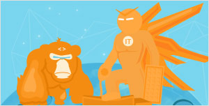 IT���λ��Ƹר������IT����ĳ����������