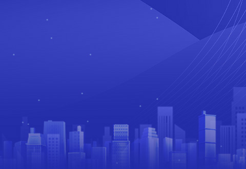 IT��ҵ������ҵר��